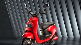 Evolet Pony
