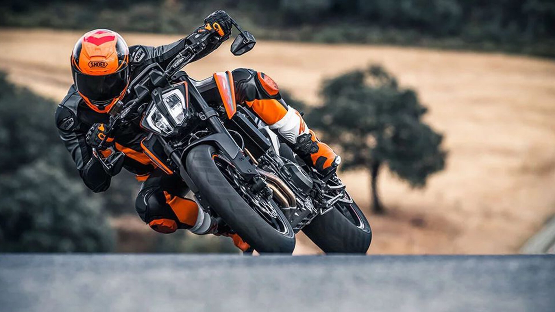 KTM 790 Duke 2019