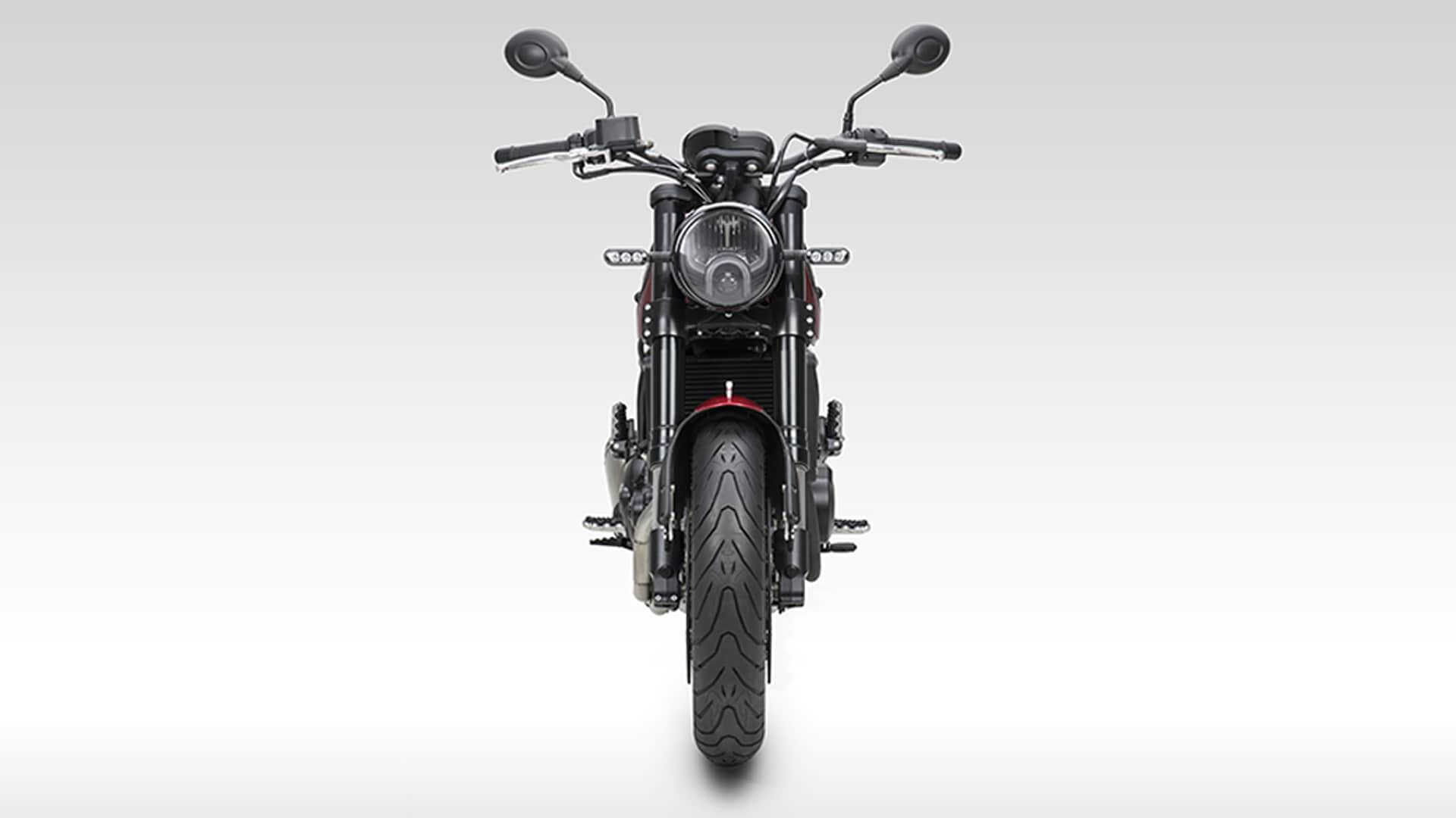Benelli Leoncino 500 2021 STD