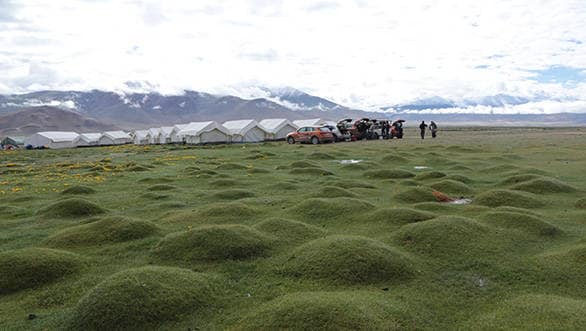 A surprisingly green Debring camp is also surprisingly cold, and thanks to the altitude, surprisingly uncomfortable as well