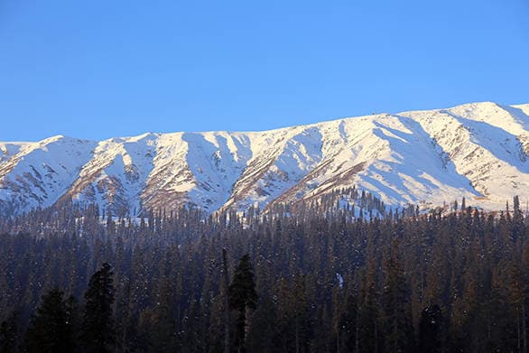 What to expect at the OVERDRIVE winter drive to Gulmarg IMG_7224