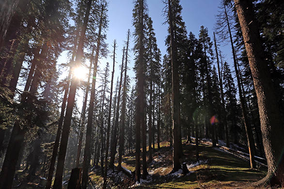 What to expect at the OVERDRIVE winter drive to Gulmarg IMG_7334