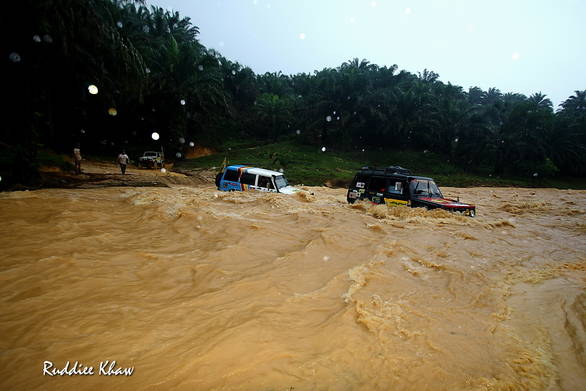Rainforest Challenge 12
