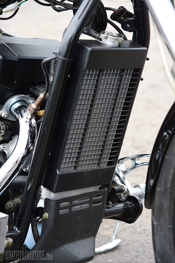 Regal Raptor Bobber (12)