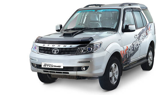 Safari Storme Celebration Edition