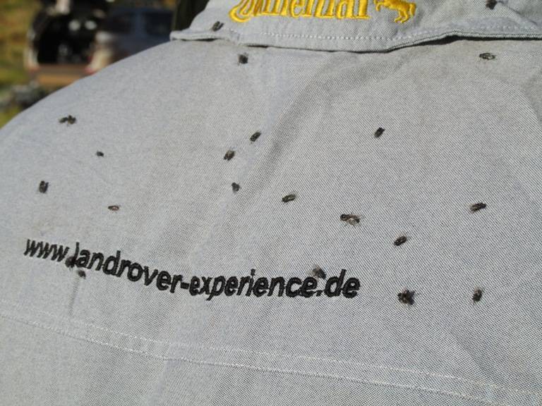 The Australian Bush is the 'fly capital' of the world. They are everywhere- from sunrise to sunset. I must have swallowed atleast 2 dozen while eating!!!