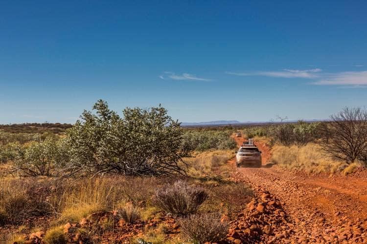 The Australian bush is beautiful