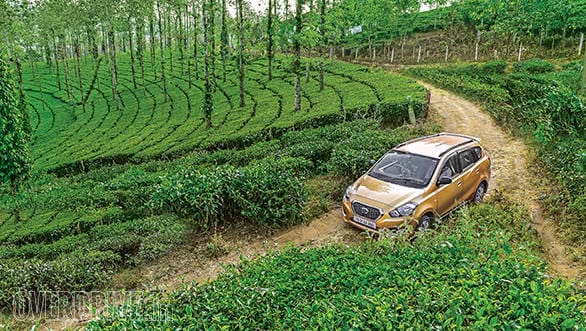 GoThere With Datsun Go+: Drive through the spice plantations of Kerala Datsun GO+ Pepper Drive Kerala (5)