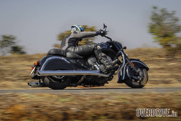 Indian Dark Horse (13)