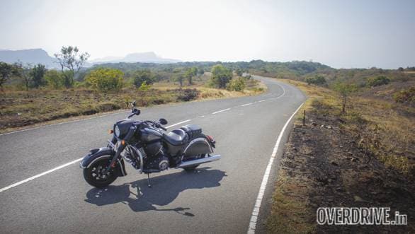 Indian Dark Horse (19)