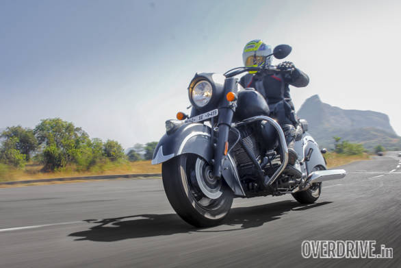 Indian Dark Horse (2)