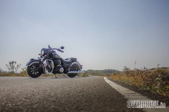 Indian Dark Horse (20)