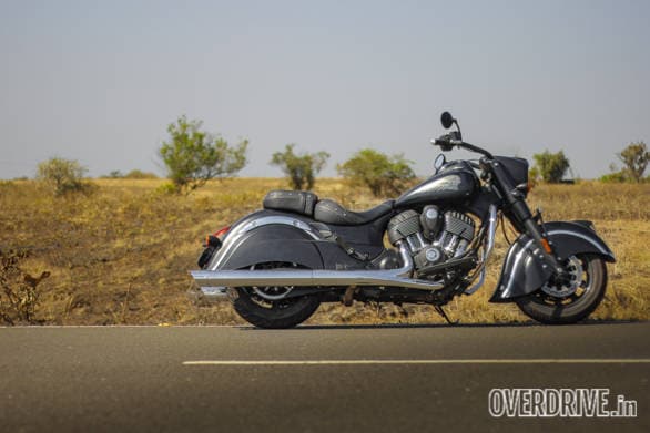 Indian Dark Horse (29)