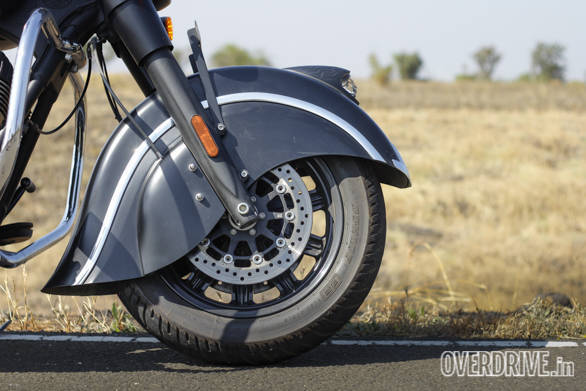 Indian Dark Horse (31)