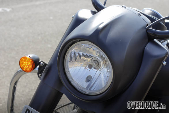 Indian Dark Horse (35)