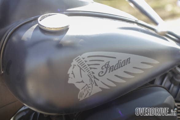 Indian Dark Horse (36)