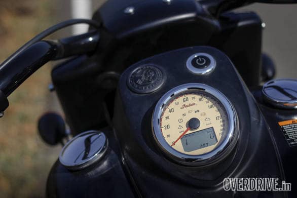 Indian Dark Horse (40)