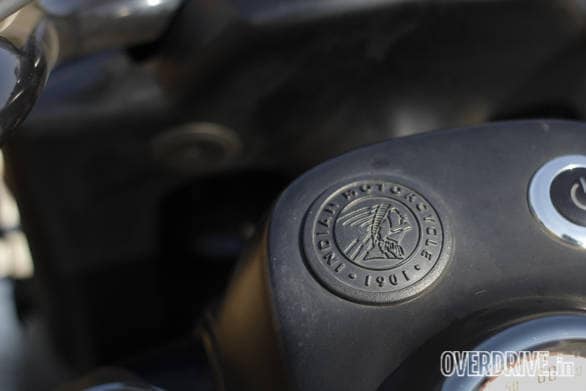 Indian Dark Horse (41)