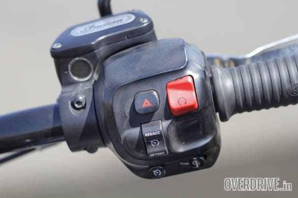 Indian Dark Horse (42)