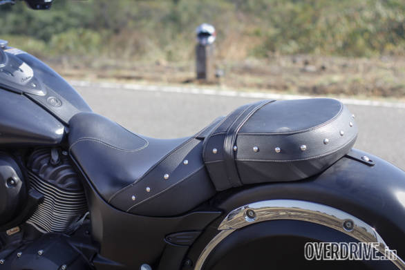 Indian Dark Horse (47)