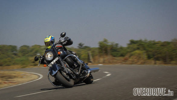 Indian Dark Horse (7)