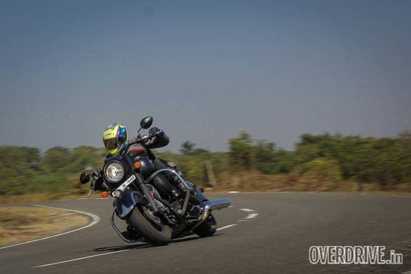 Indian Dark Horse (8)