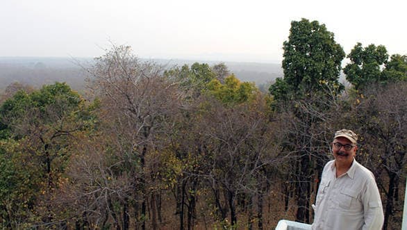 At peace in the wilderness