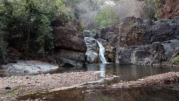 The beautiful Bhoramdeo Wildlife Sanctuary