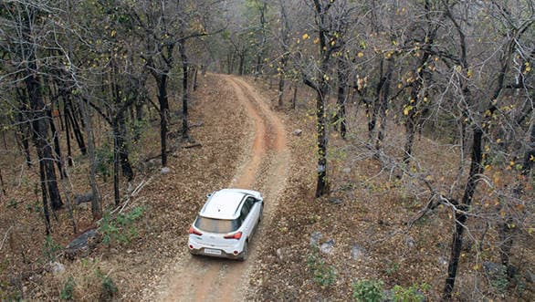 We head for a jungle safari in the Hyundai i20 Active, to the Barnawapara Wildlife Sanctuary