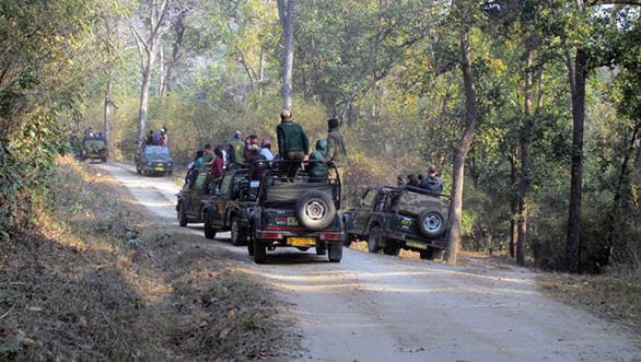 The Maruti Gypsy remains the favourute machine for jungle safaris