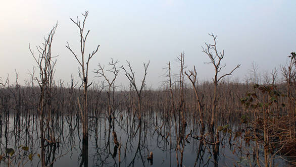 Water body in Barnawapara that attracts lots of birds