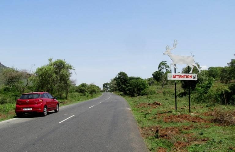 Sign to lookout for deer, Sathyamangalam Tiger Reserve