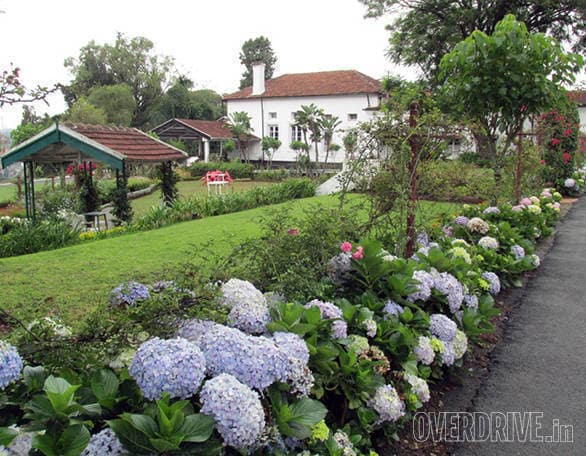 The beautiful Ootacamund Club
