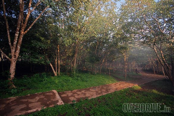 Windflower Resort & Spa Bandipur