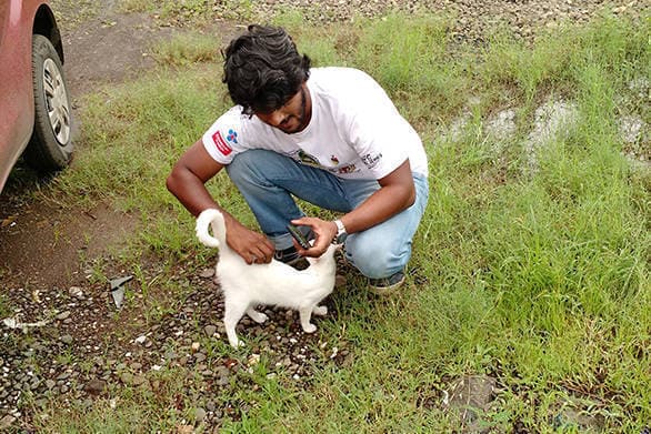 Shaken and Stirred Sept 2016 (4)