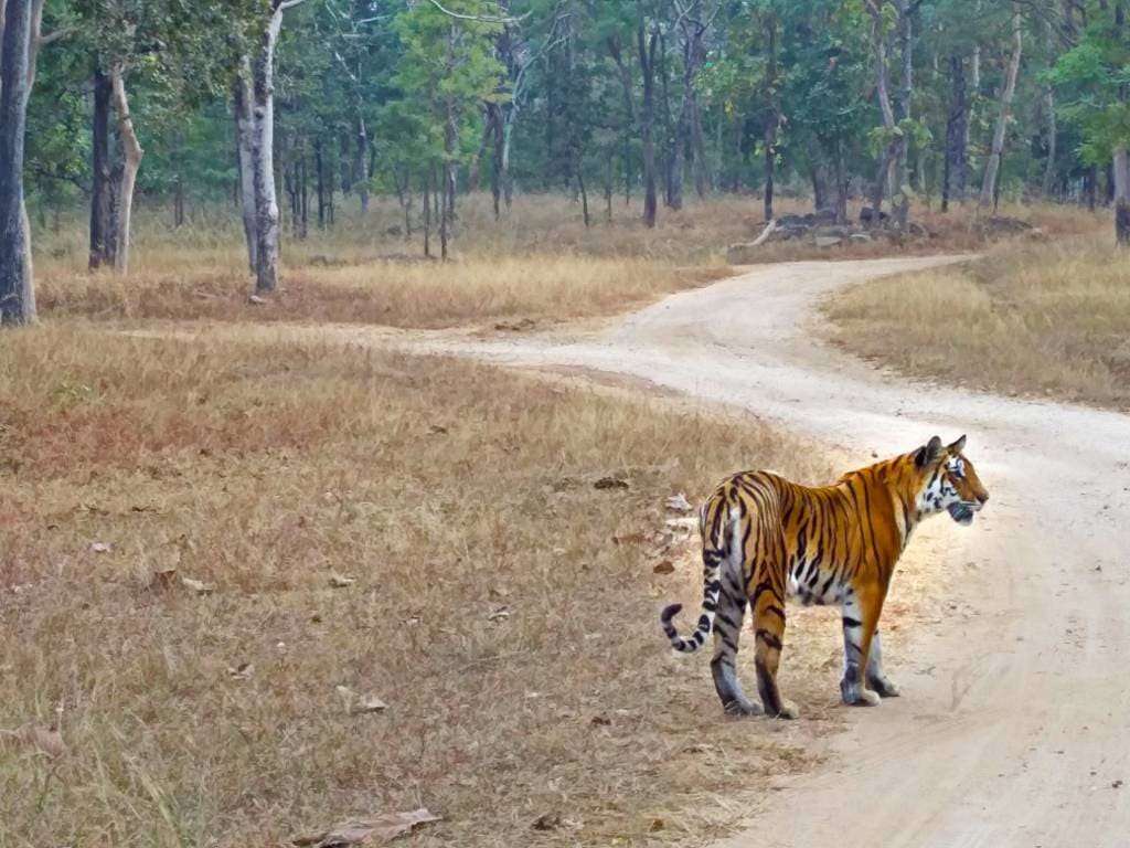 Honda Drive to Discover: Into the wild Honda Drive 2 Discover Images 2017 1 (15)