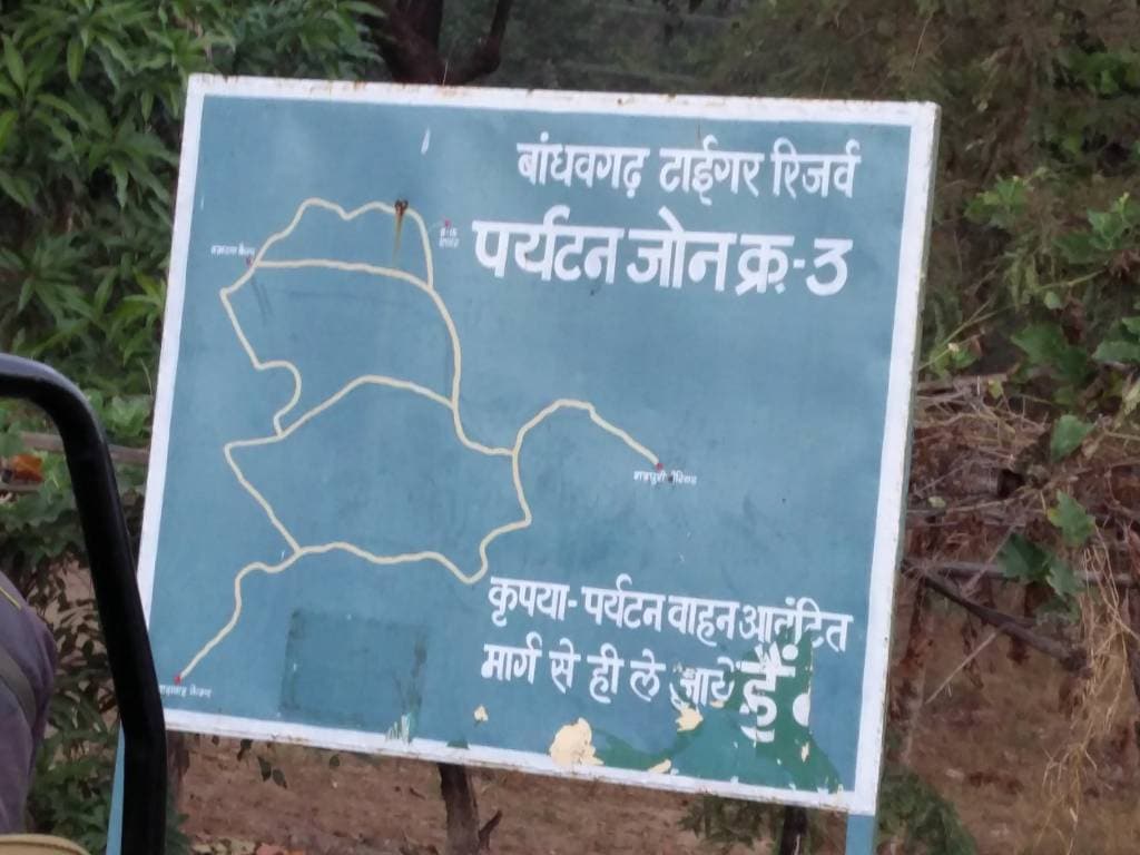 Honda Drive to Discover: Into the wild Honda Drive 2 Discover Images 2017 1 (22)