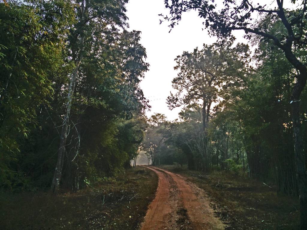 Honda Drive to Discover: Into the wild Honda Drive 2 Discover Images 2017 1 (23)