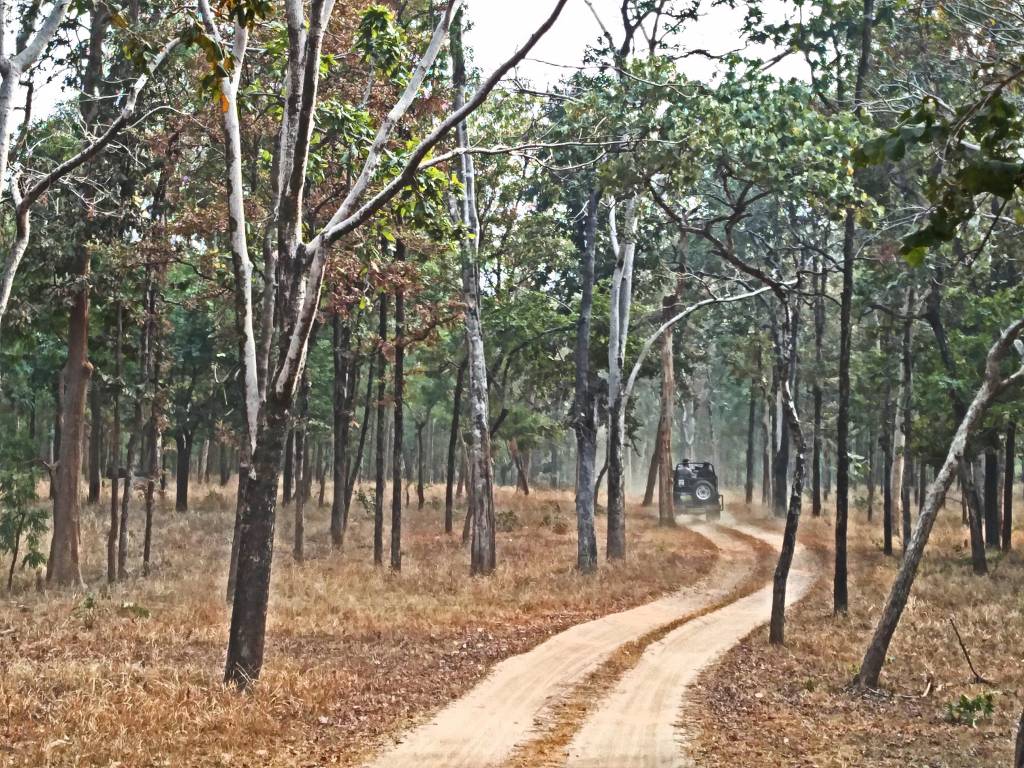 Honda Drive to Discover: Into the wild Honda Drive 2 Discover Images 2017 1 (9)