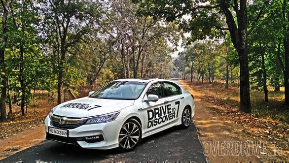 Honda Drive to Discover: Into the wild Honda Drive to Discover feature image