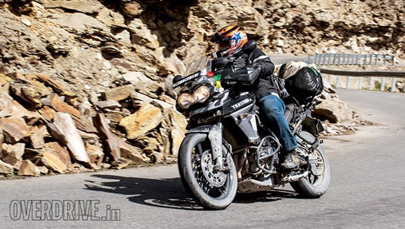 Triumph Tiger (1)