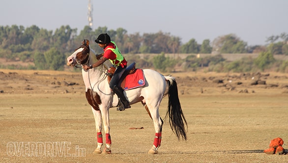 11--A-rider-calming-down-and-encouraging-his-horse