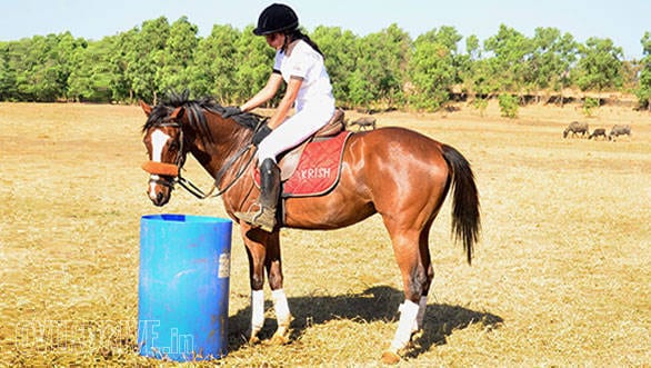 31-Laxmi-urging-Gatsby-to-drink-at-one-of-the-watering-points-on-the-route