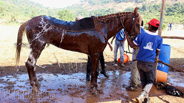33--Despite-all-cooling-down-attempts,-Khushru's-horse-Goldie-got-eliminated-due-to-her-rate-of-68-heart-beats-per-minute