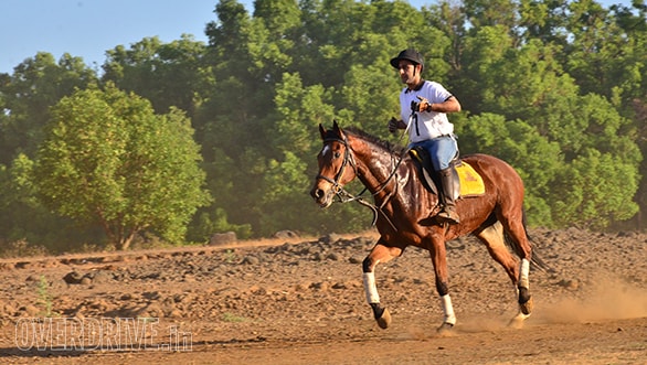 8-Krish-Saigal-rode-his-horse-Atlantic-Star-suberbly-and-finished-first-in-the-40-Km-Endurance-Category