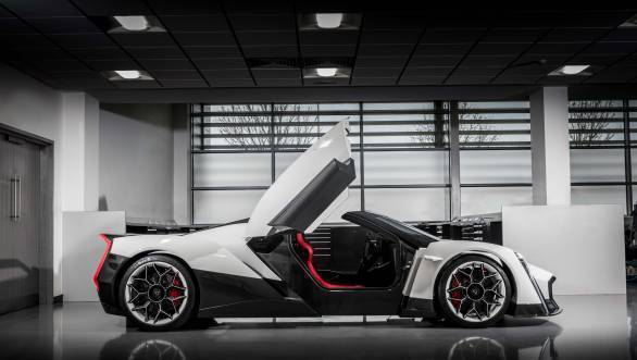 Vanda_Dendrobium_009