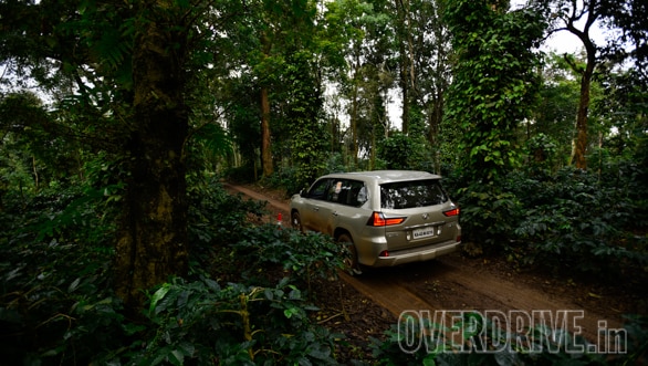 OD Slugfest: What makes an SUV a popular choice in India