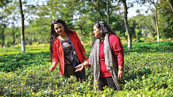 Special feature: Celebrating success of women entrepreneurs with She's Mercedes