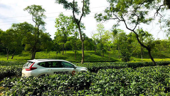 Honda Drive to Discover 9: Exploring North East in the Civic and CR-V