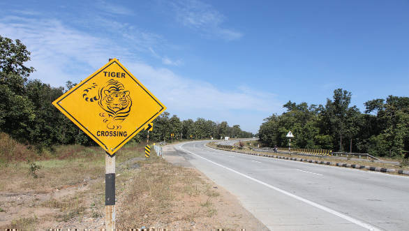 Are Road Fatalities Reducing